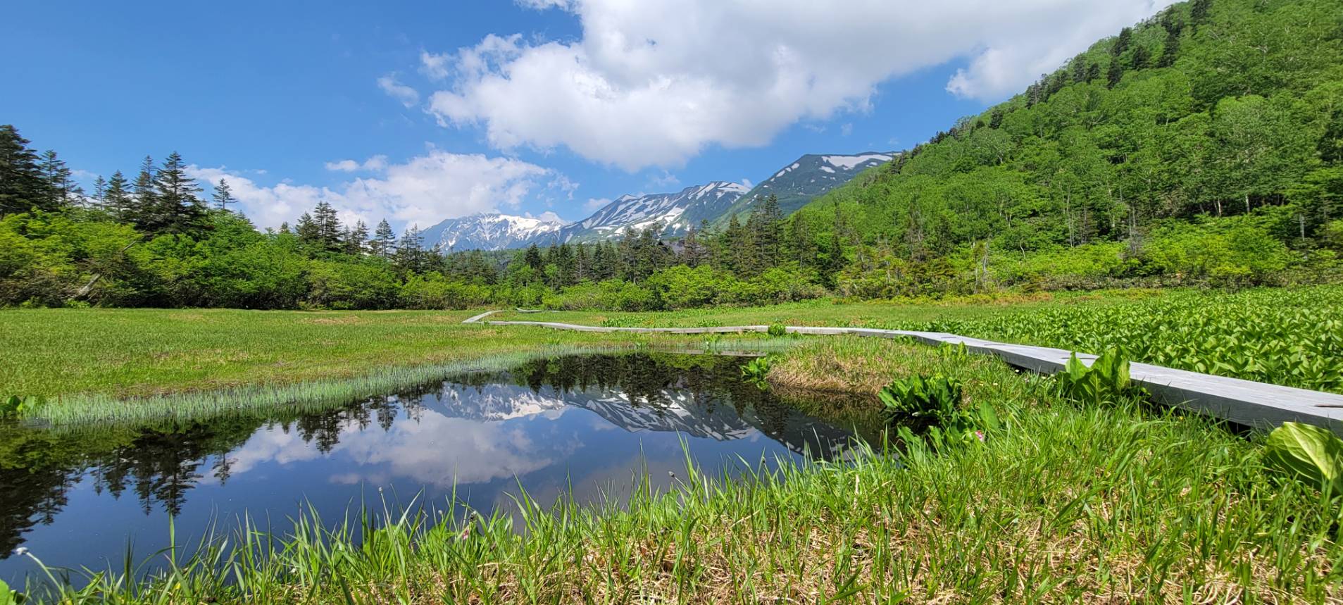 なぜ中部山岳国立公園「栂池自然園」は涼しいのか？検証してみた