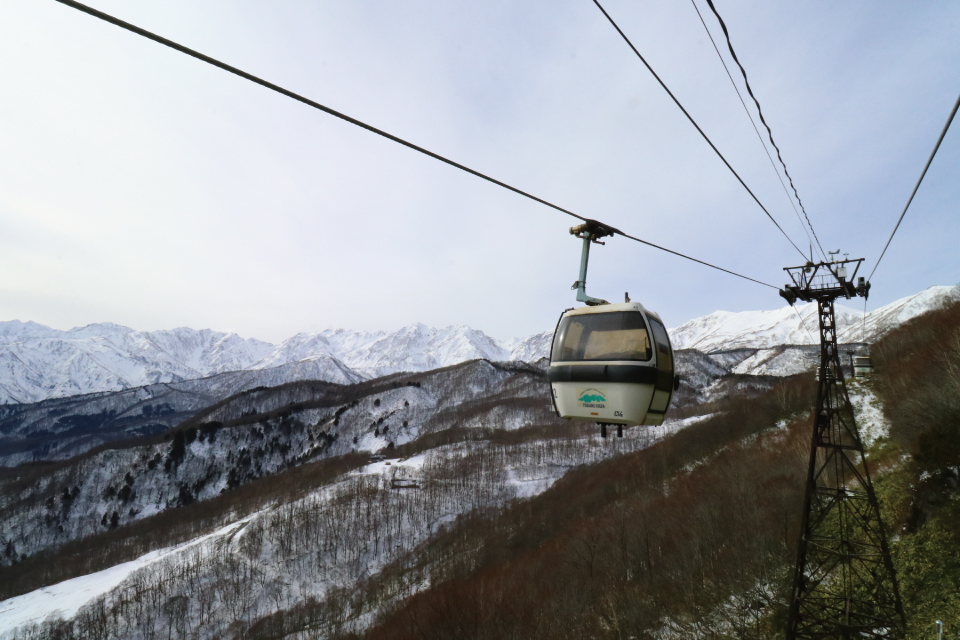 長野県のスキー場が人気の魅力
