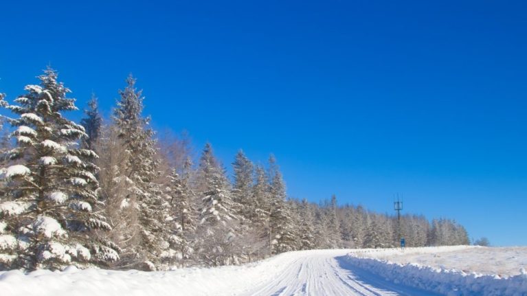 【東京から車で快適に】つがいけマウンテンリゾートへのドライブ旅！おすすめの過ごし方と立ち寄りスポット