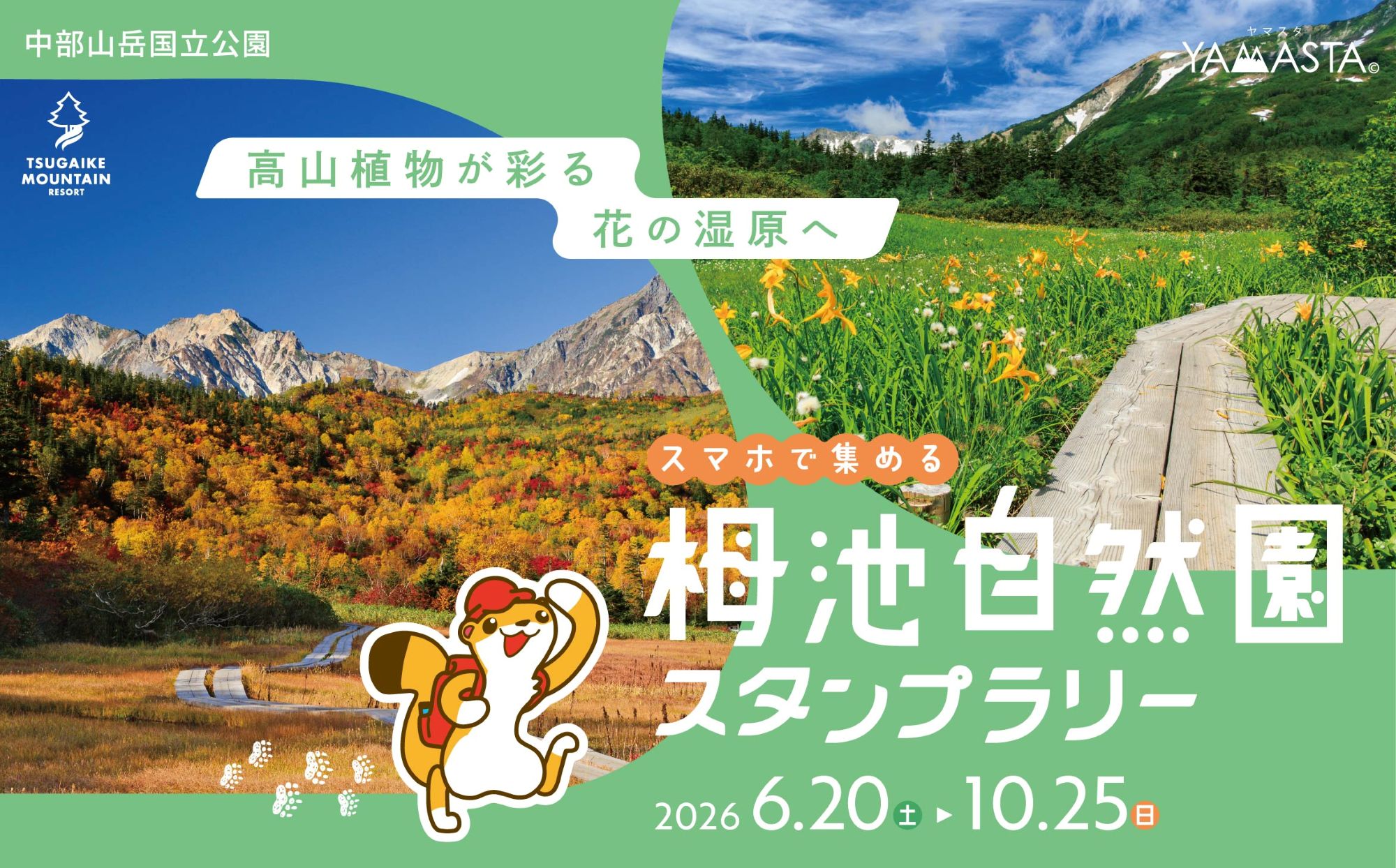 6/20(土)より【スマホで集める栂池自然園スタンプラリー】開催